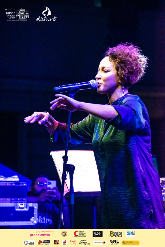 241449498_140956278233210_5390113307537089142_n