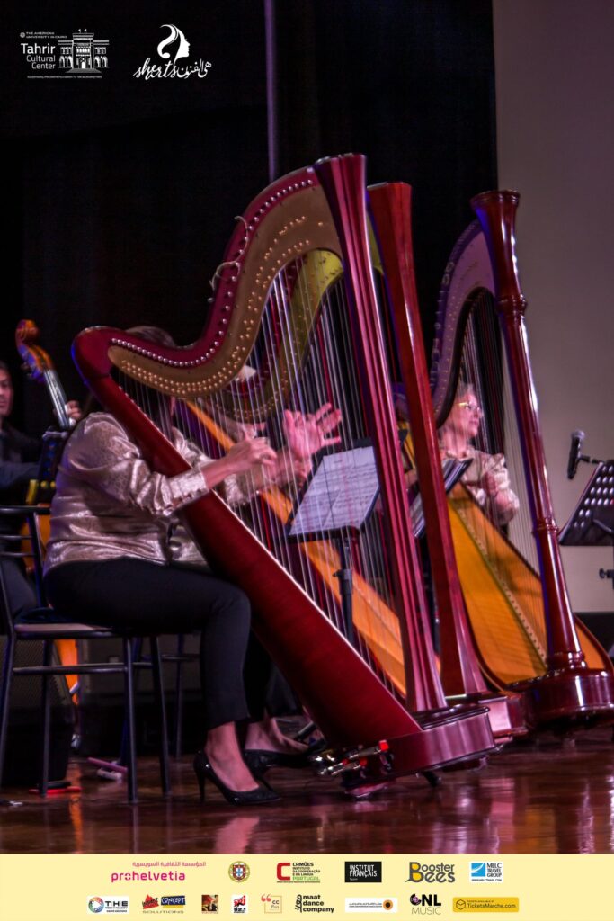 241802353_140939454901559_2943941418461478050_n